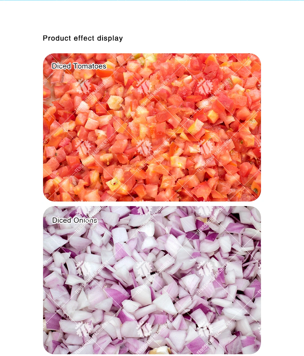 Potato Cutting Machine Vegetable Processing and Dicing Machine Vegetable Cutting Machine W